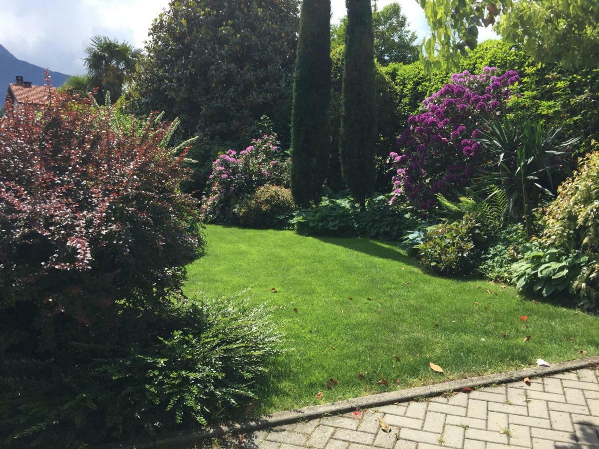 Iris 2 Lago Di Como Донґо Екстер'єр фото