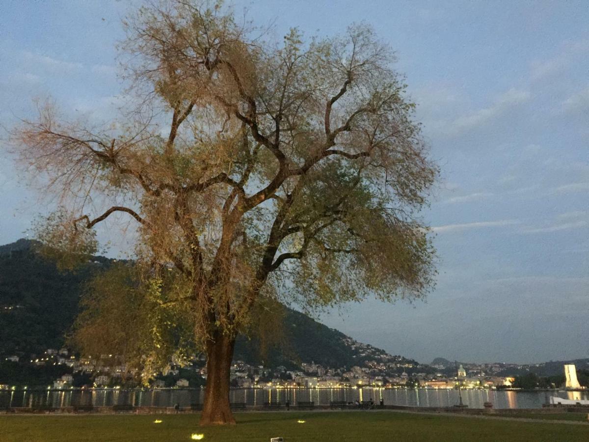 Iris 2 Lago Di Como Донґо Екстер'єр фото